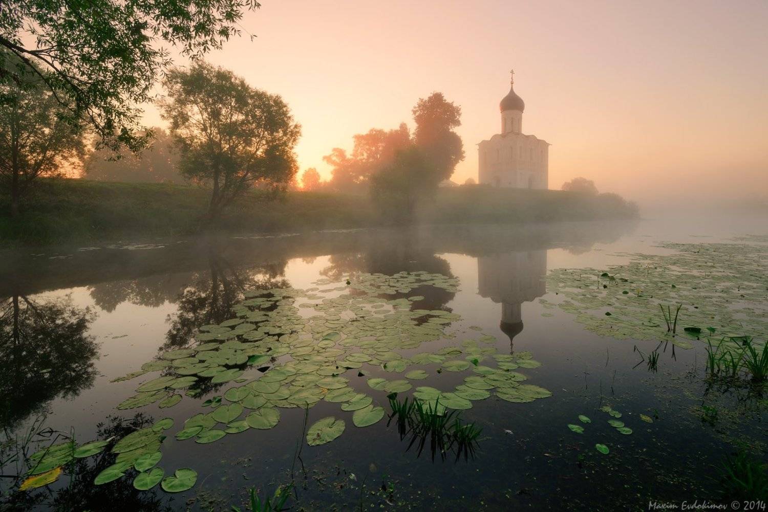 ***. Автор: Максим Евдокимов Покрова на Нерли, Максим Евдокимов
