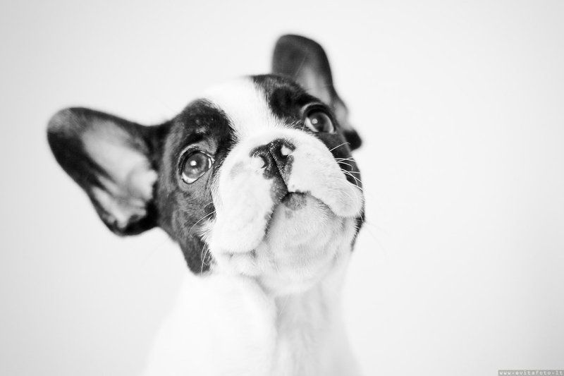 Mечтательphoto preview