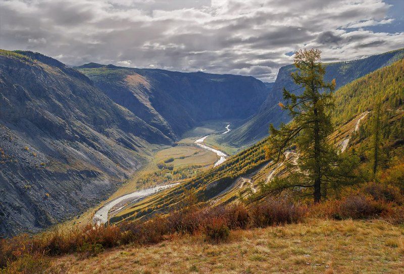 Алтай, Горный алтай, Горы, Кату-ярык, Осень, Пейзаж, Природа, Путешествие, Туризм, Чулышман Кату-Ярык и Чулышманphoto preview