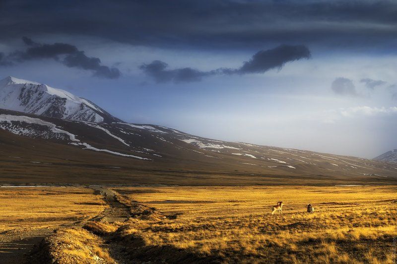 Высокогорная долина Арабель, Киргизияphoto preview