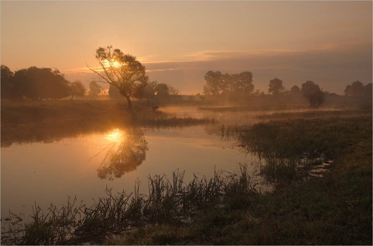 , Николай Шахманцир