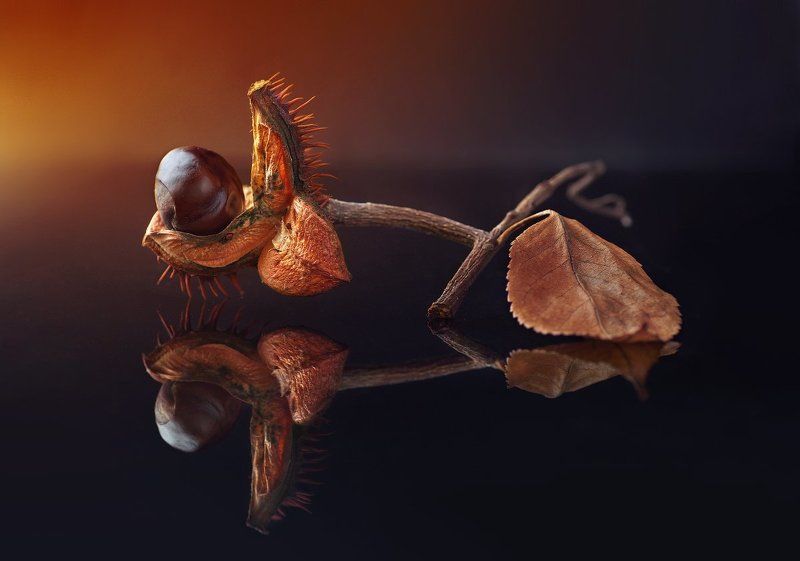 Хищникphoto preview