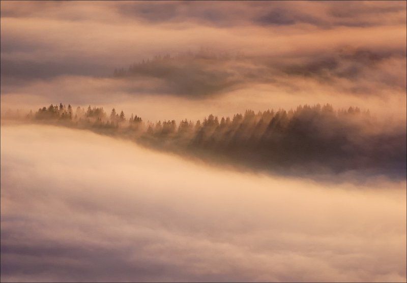 Цунами v.2photo preview