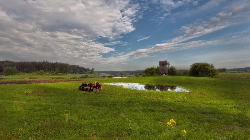 михайловское, май, маленец Объеду лужу и сброшу...photo preview