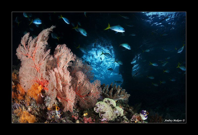 Рыбкин домphoto preview