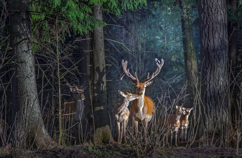 Про завистникаphoto preview