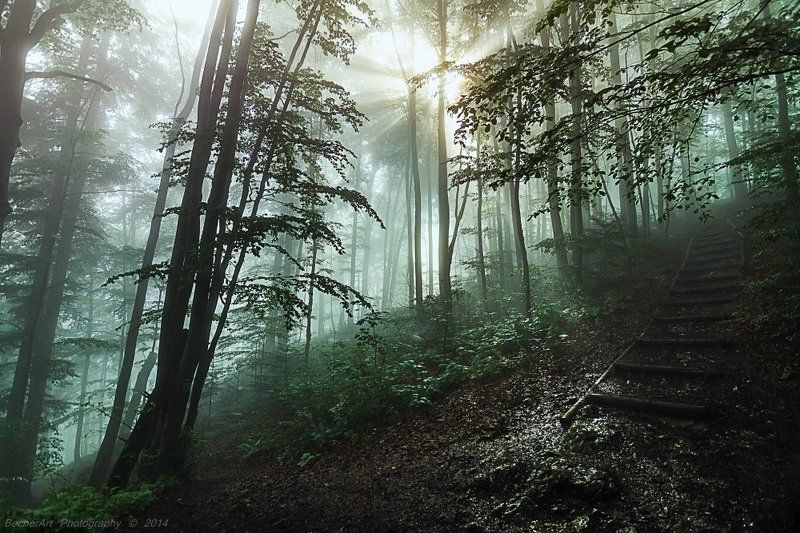 Moving On Iphoto preview