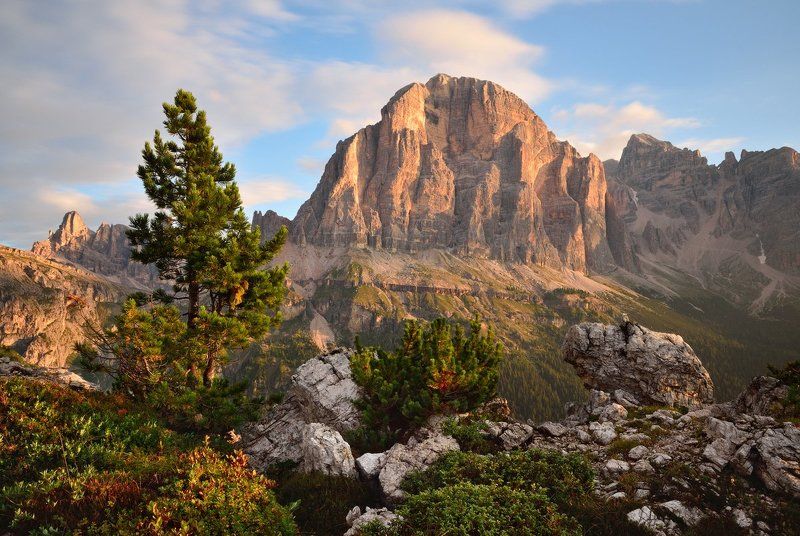 Tofana di Rozesphoto preview