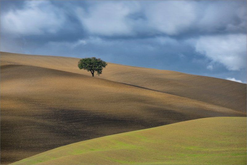 В ветреный деньphoto preview