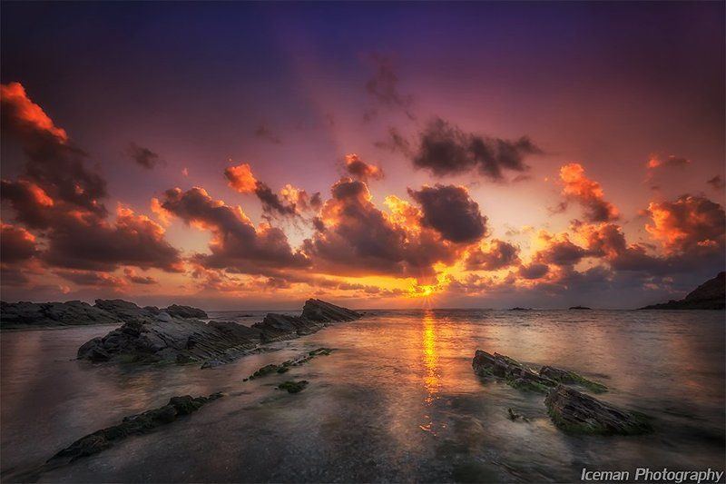 группа новых друзей удовлетворения растущегоphoto preview