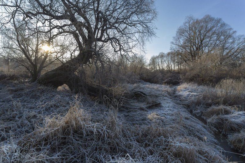 Утро в Витославлицахphoto preview