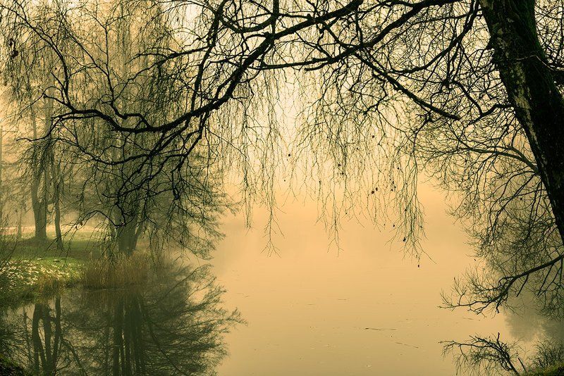 Воскресенне утроphoto preview