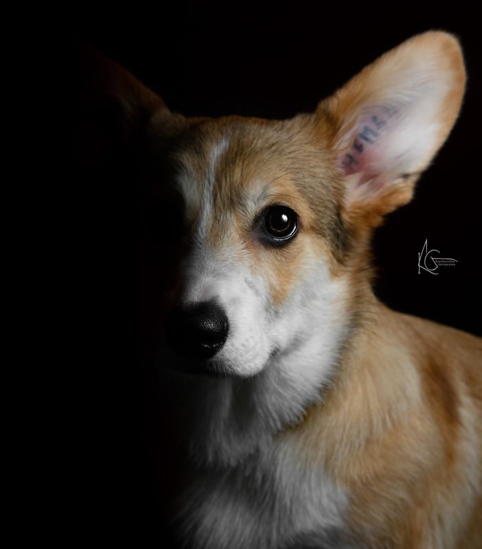 фото превью