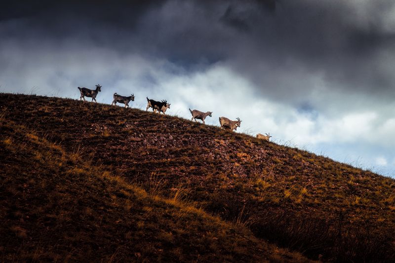 пейзаж,природа,небо,фотограф,canon,sony,135mm,travel .photo preview