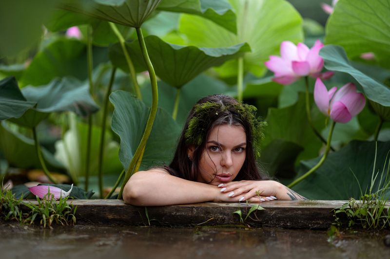 Лотосы Кикимора Мавка Русалка Сирена Озеро Дарья в лотосахphoto preview