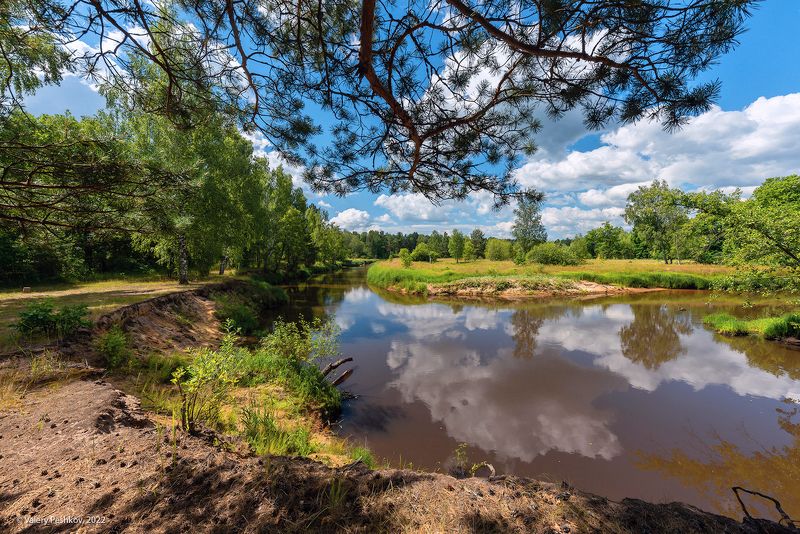 лето, лесная река, омут, сосна, луг, мещёра, рязанская область У омутаphoto preview