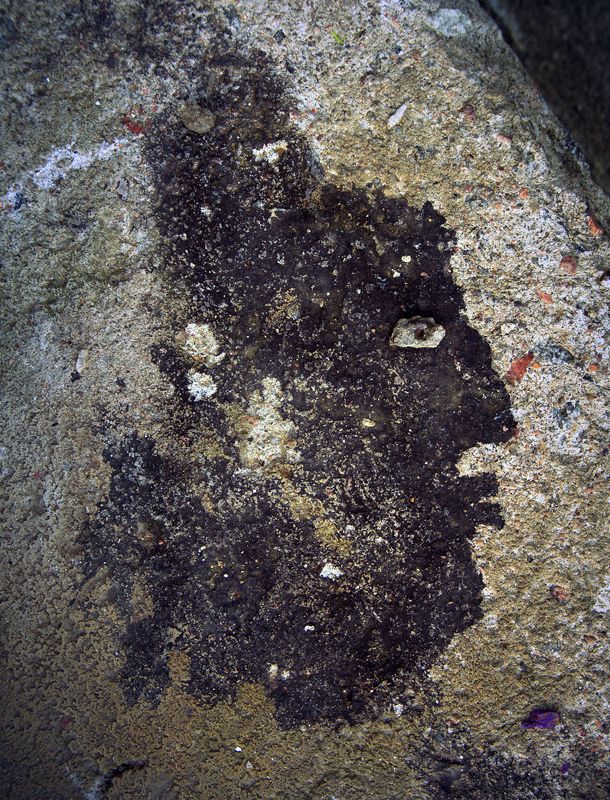 pareidolia ***photo preview