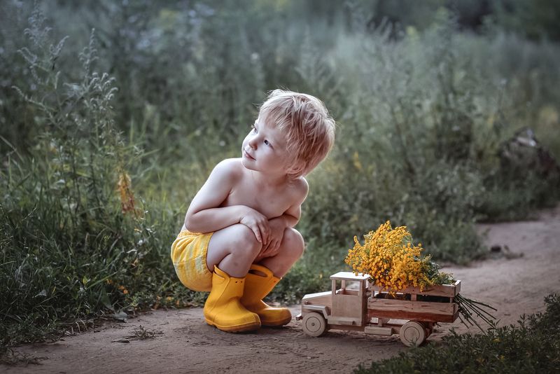 лето, солидаго, золотарник, дети Грузовик с цветамиphoto preview