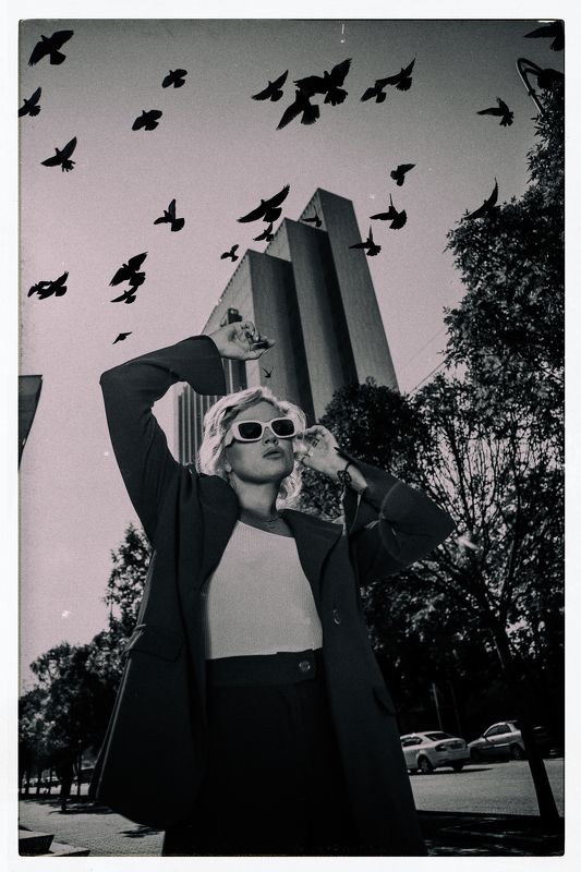 Черные птицыphoto preview