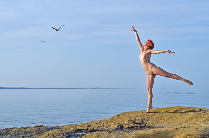 девушка, ню, полет, обнаженный, молодая, лететь, плицы, небо, стремление, женщина, пластичный, гимнастка, гимнастика, пластика, воздушный, море, река, вода, на цыпочках, ввысь,  Мне бы в небоphoto preview