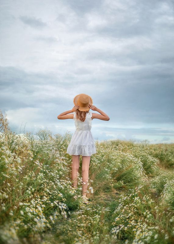 Ромашковые просторыphoto preview