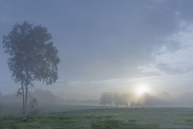 березка photo preview
