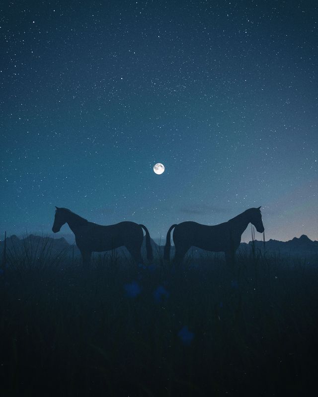 Under The Moonphoto preview