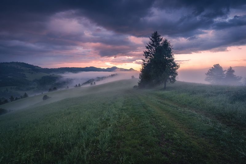 Somewhere in Pieniny mountainsphoto preview