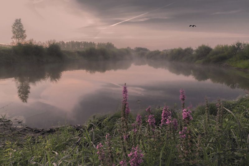 Краски уходящего лета.photo preview