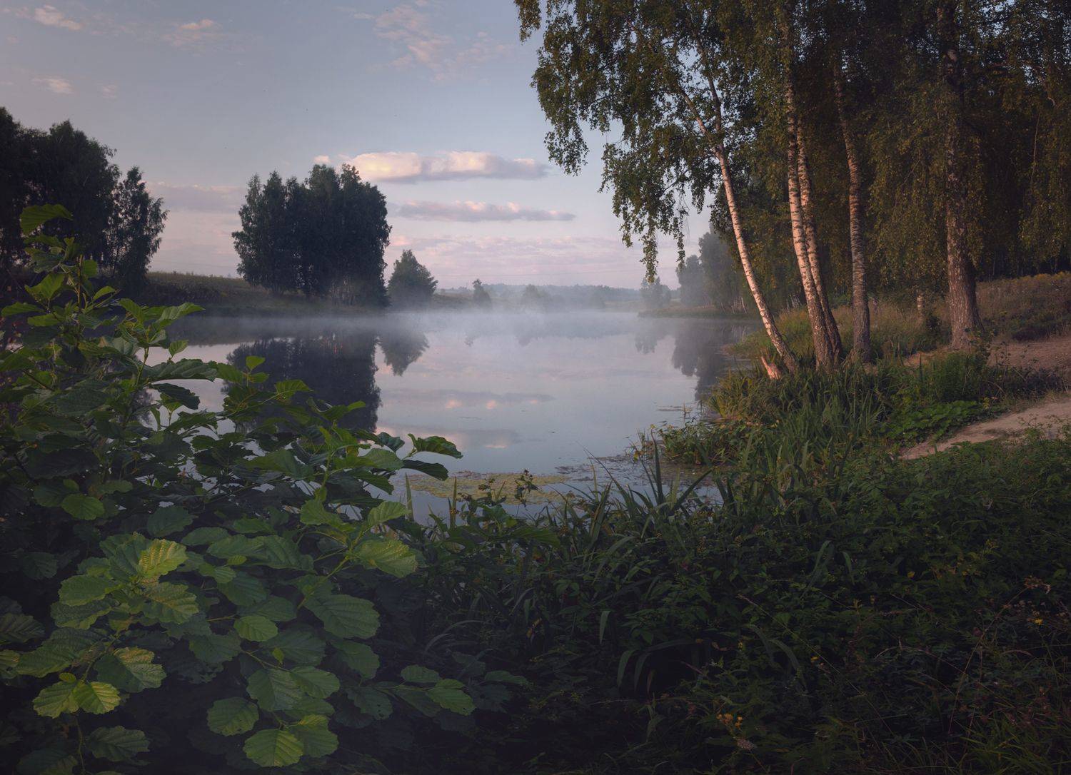 ***. Автор: Баранов Олег лес, свет, утро, природа, Баранов Олег