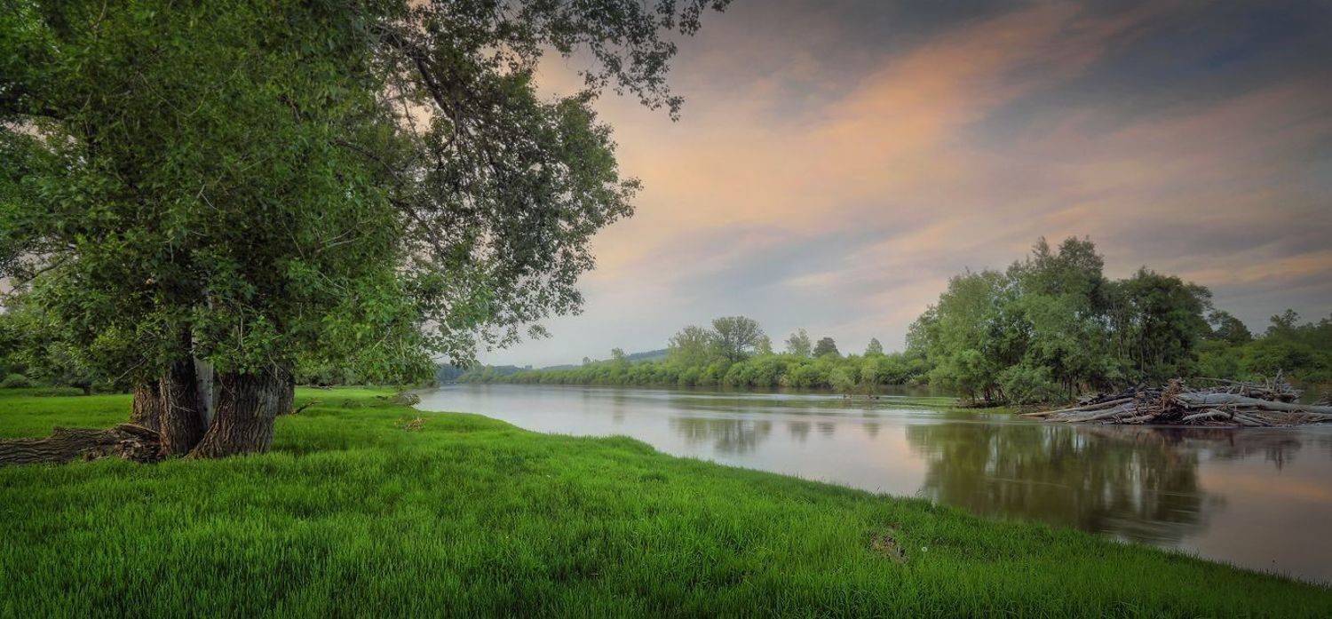 На берегу реки сибирской. Автор: Александр Бархатов Сибирь река Оя Красноярский край, Александр Бархатов