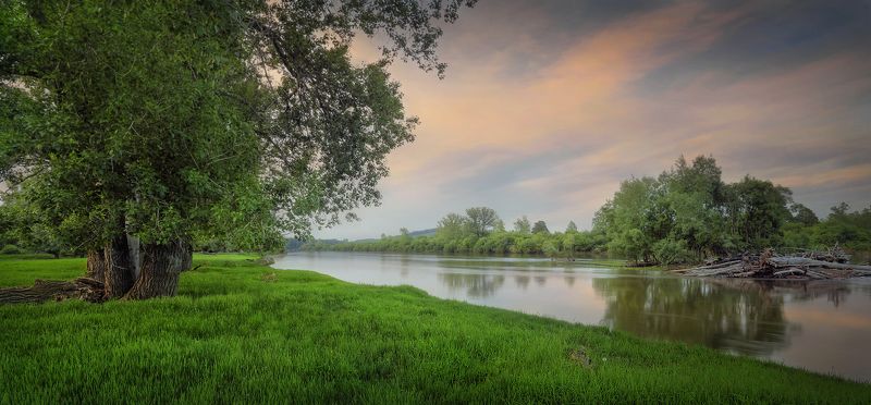 Сибирь река Оя Красноярский край На берегу реки сибирскойphoto preview