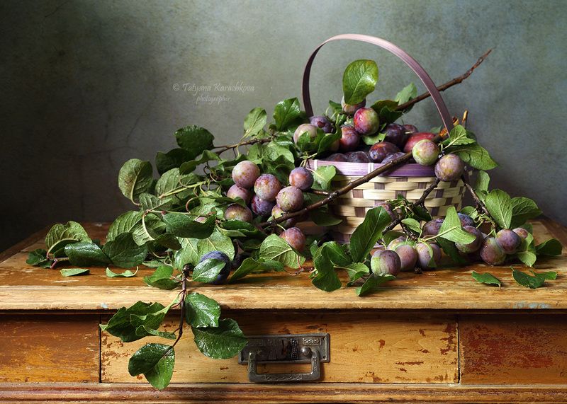 натюрморт, лето, сливы Сливыphoto preview