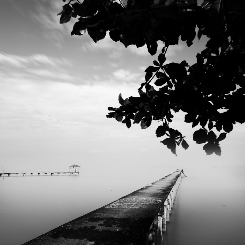 #Monochrome #Fineart Forever and Everphoto preview