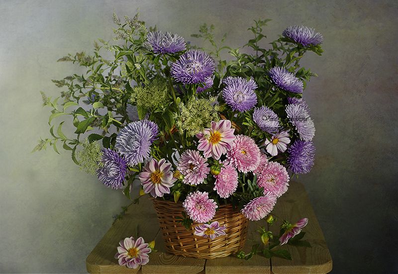 натюрморт, вера павлухина, цветы, астры, Натюрморт с астрамиphoto preview