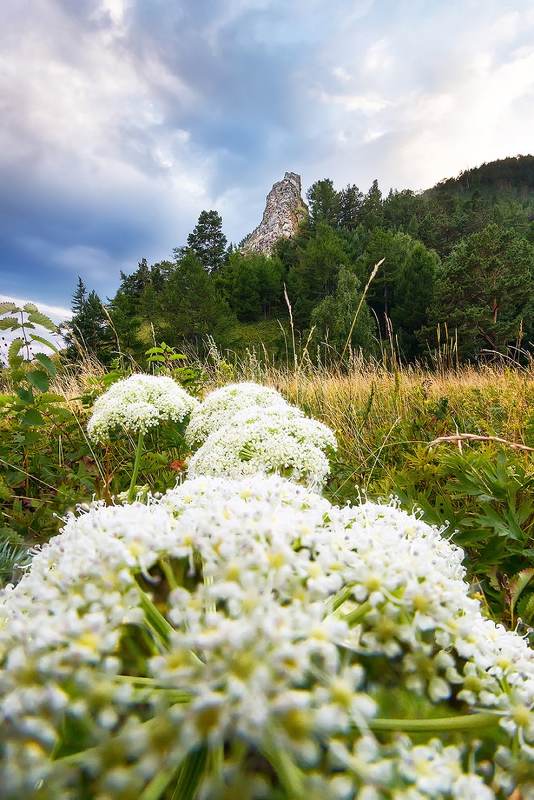 Байкал, лето, ббт Летов Кадильномphoto preview