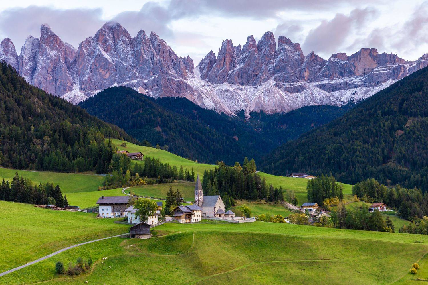 , Евгения Чех