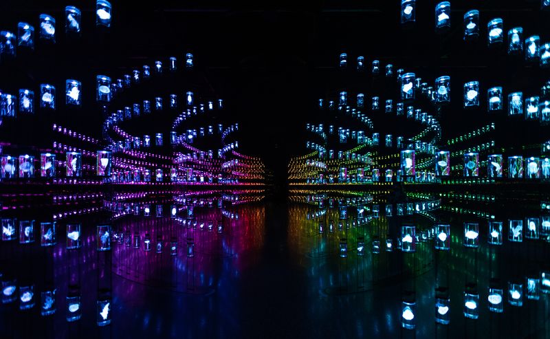 The Museum of the Future, Dubaiphoto preview