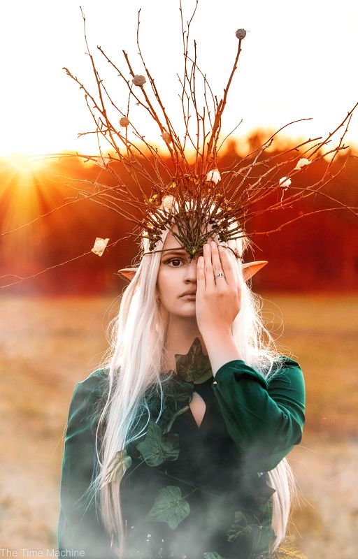 Фотопроект Elfen Liedphoto preview