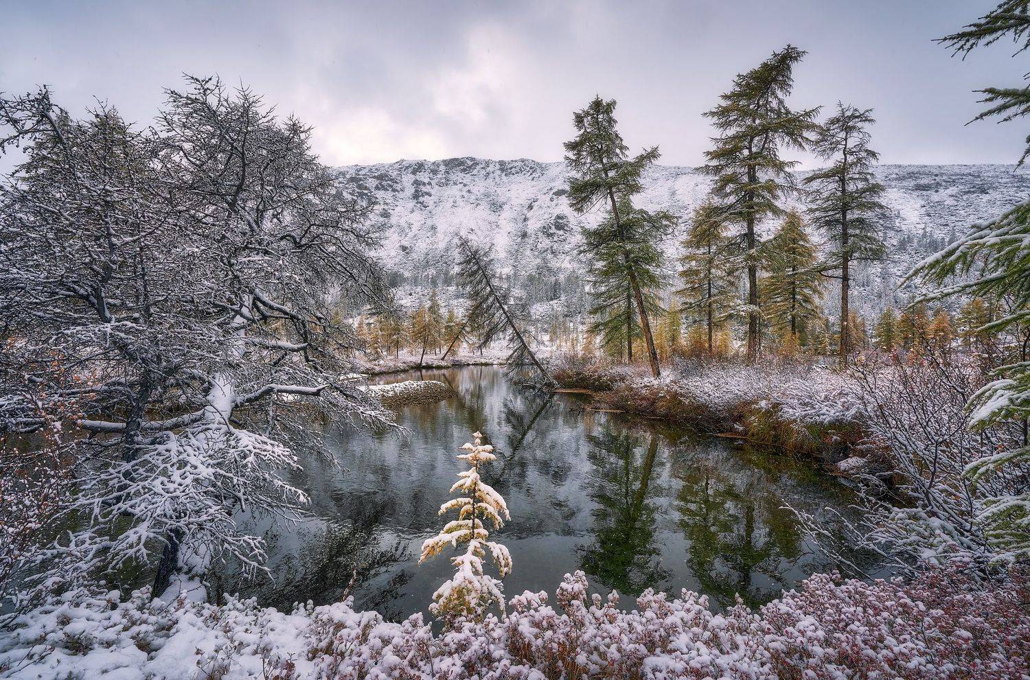 , Сергей Межин