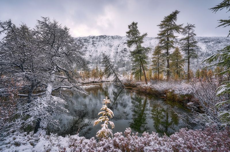 Неведомый: первый снег фото превью