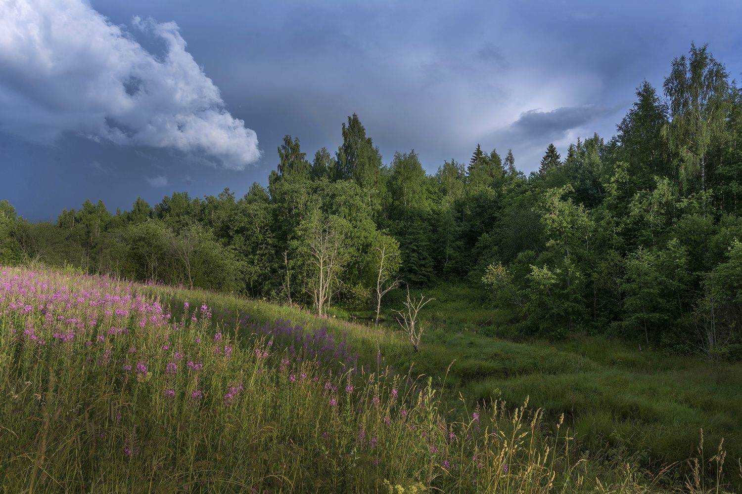 у ручья . Автор: Волоцков Александр , Волоцков Александр