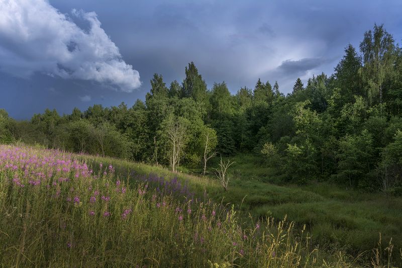 у ручья photo preview