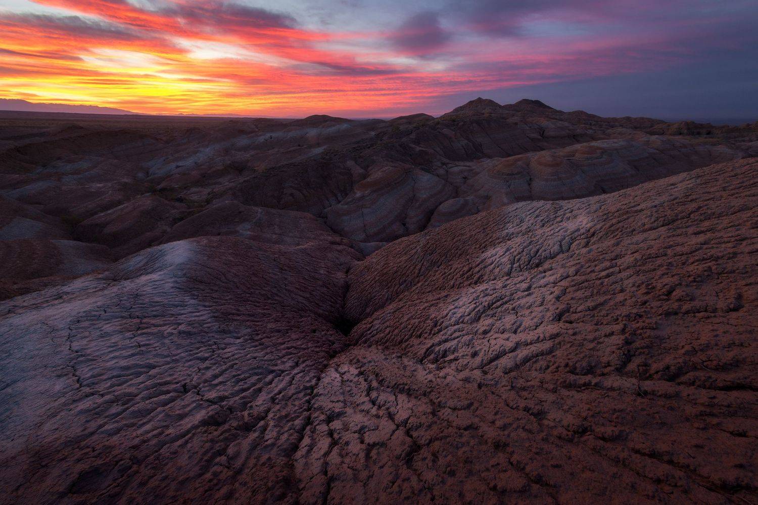 , Михаил Туркеев