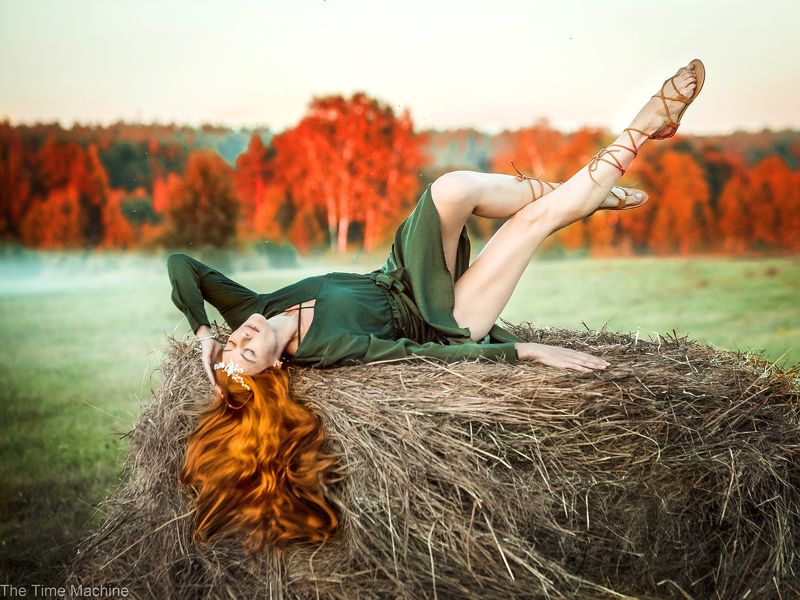 Сенокосphoto preview