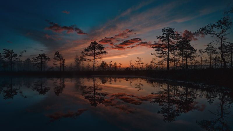 Болотная акварельphoto preview