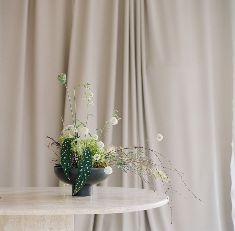 film, analogue, hasselblad, kodak portra film Still life on filmphoto preview