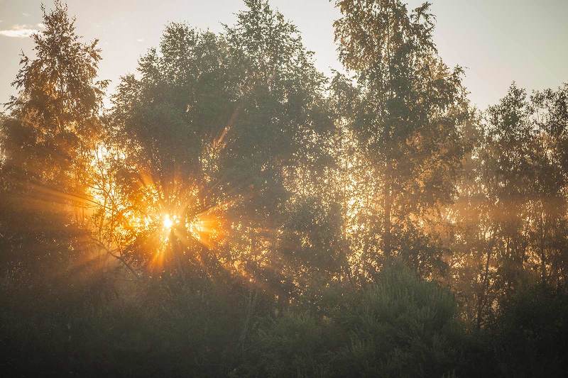 Первые утренние лучиphoto preview