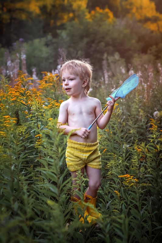 лето, солидаго, золотарник, дети в поисках лимонницыphoto preview