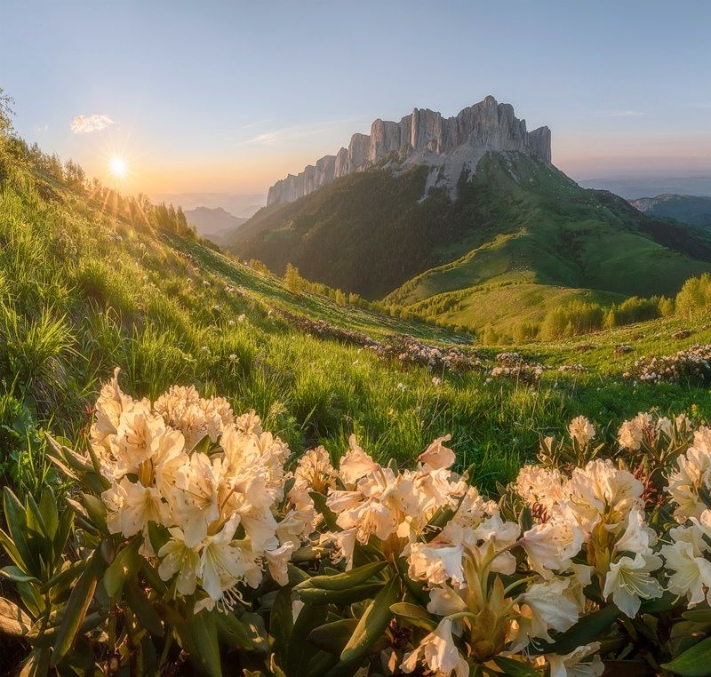 западный кавказ, большой тхач, рододендронны, закат, июнь Вечер у Большого Тхачаphoto preview